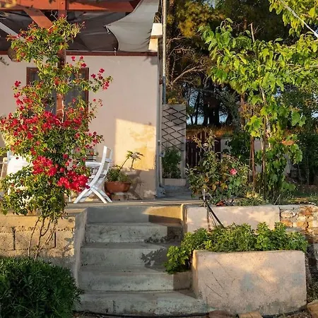 Anamnisis Vakantiehuis *